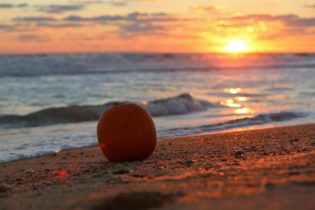 Thanksgiving on the Outer Banks