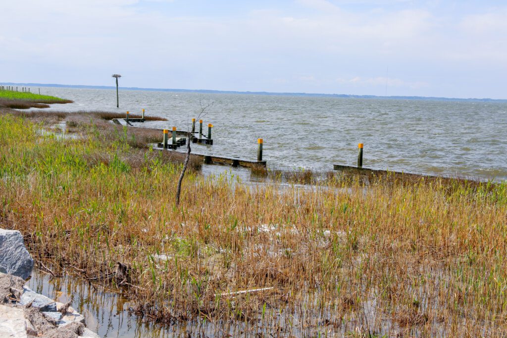 Duck NC Living Shoreline Project and Currituck Sound in Background