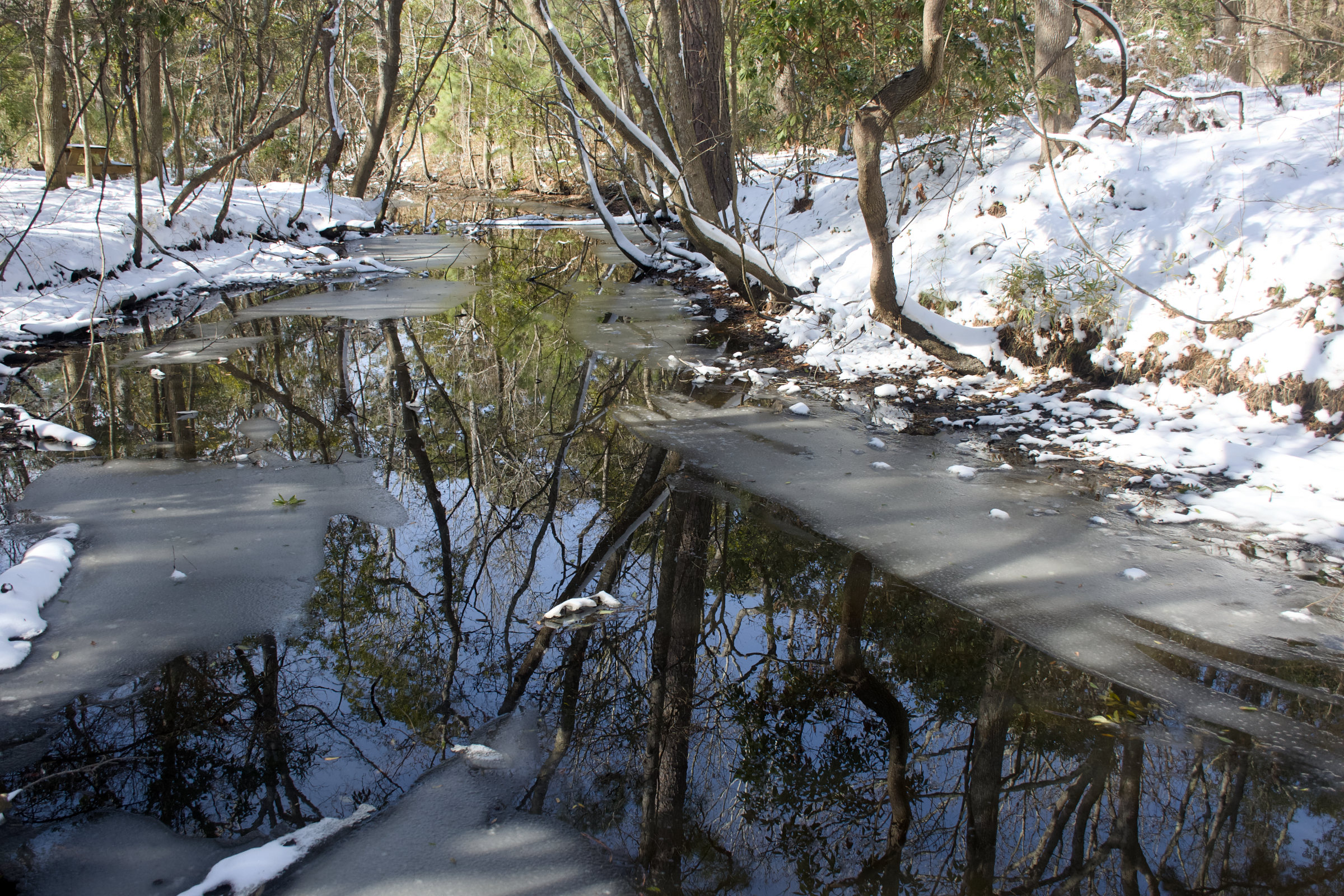 Kitty Hawk Town Hall Trail Hobbs Creek Snowfall