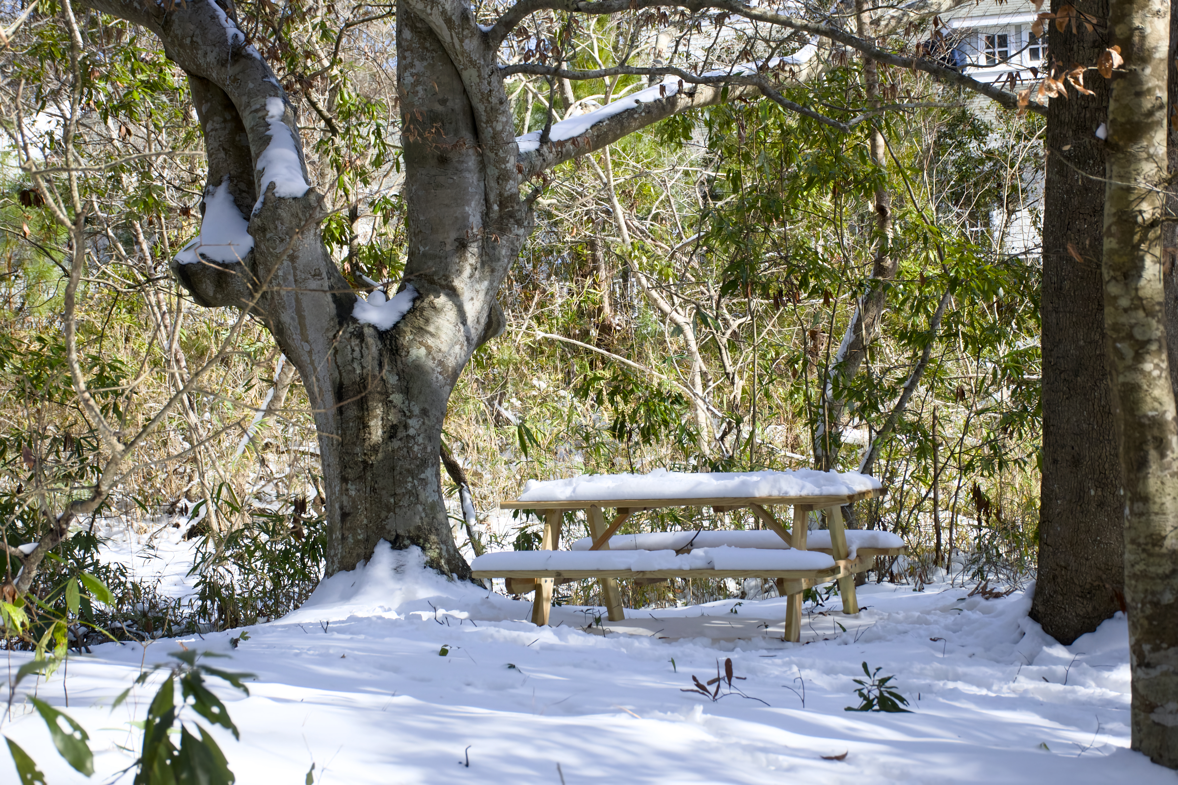 Kitty Hawk Town Hall Trail covered in snow