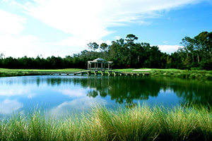 The Pointe Golf Course