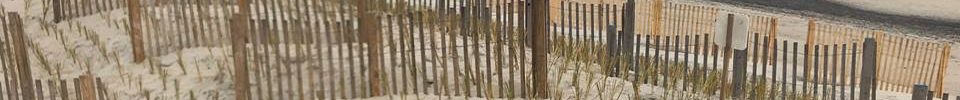 Post Beach Nourishment – Beach Grass Planting in Duck, NC
