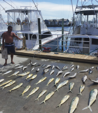 10 Species of Fish on the OBX | Outer Banks Fishing