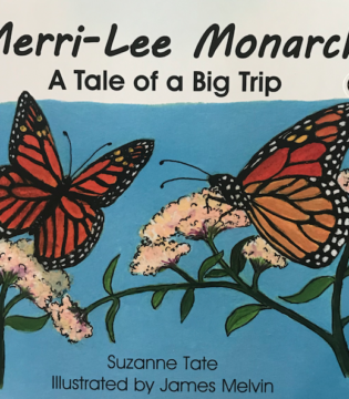 New Book by Local OBX Author Suzanne Tate