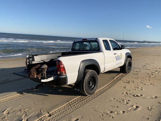 Beach driving on the Outer Banks 4x4