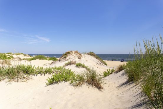 Outer Banks Beach Dunes