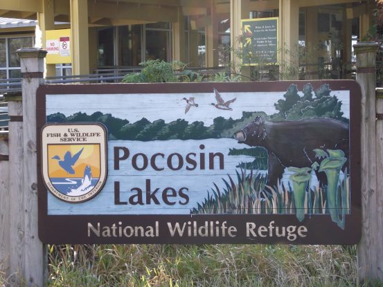 Pocosin Lakes National Wildlife Refuge