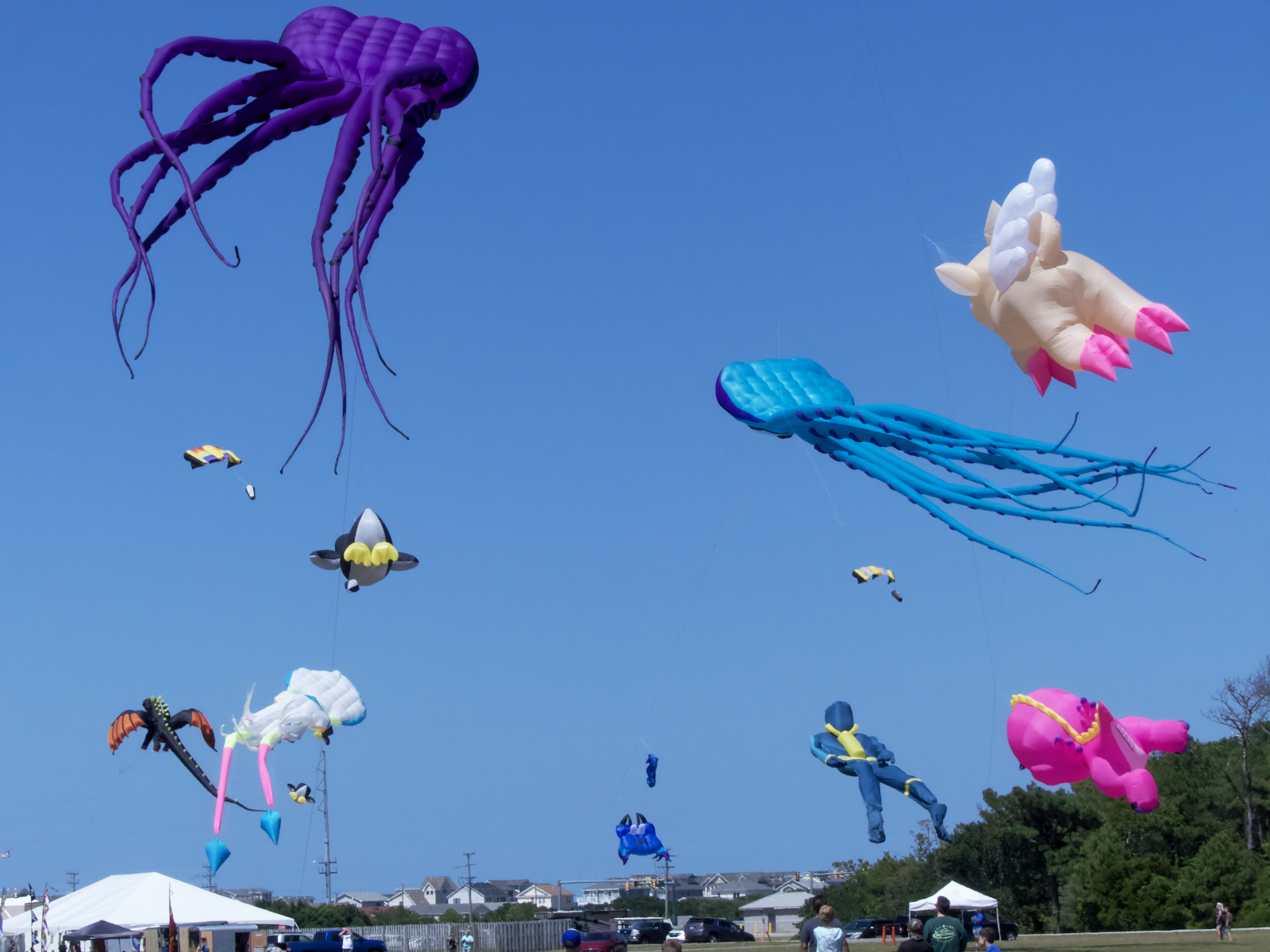 Kites flying at the Wright Kite Festival